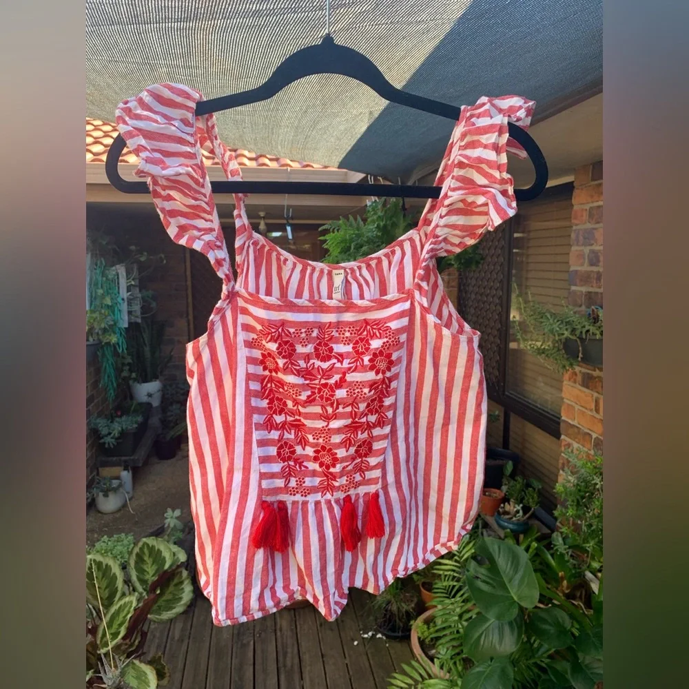 ▫️host pick▫️Zara ruffle embroidered tassels crop top - Picture 3 of 9